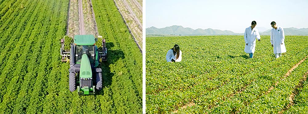 遼寧正業(yè)花生產(chǎn)業(yè)：共抗疫情，龍頭企業(yè)顯擔(dān)當(dāng)！(圖3)