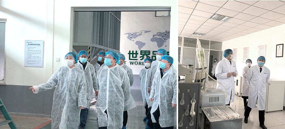 葫蘆島、興城兩市領導蒞臨正業(yè)花生產(chǎn)業(yè)調研指導(圖1)