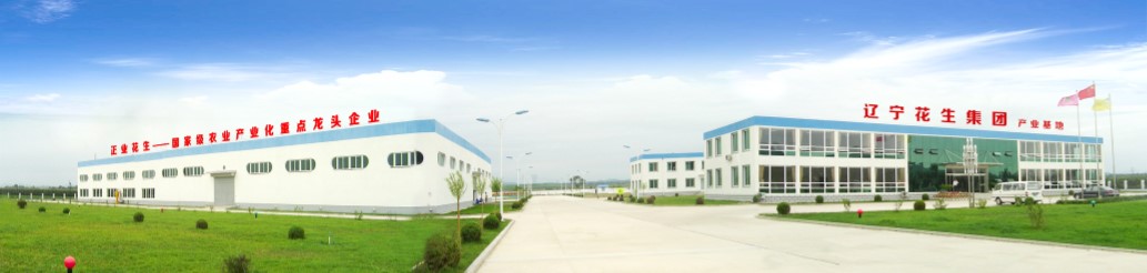 葫蘆島市委常委、副市長(zhǎng)張明謙蒞臨遼寧花生集團(tuán)考察指導(dǎo)(圖3)