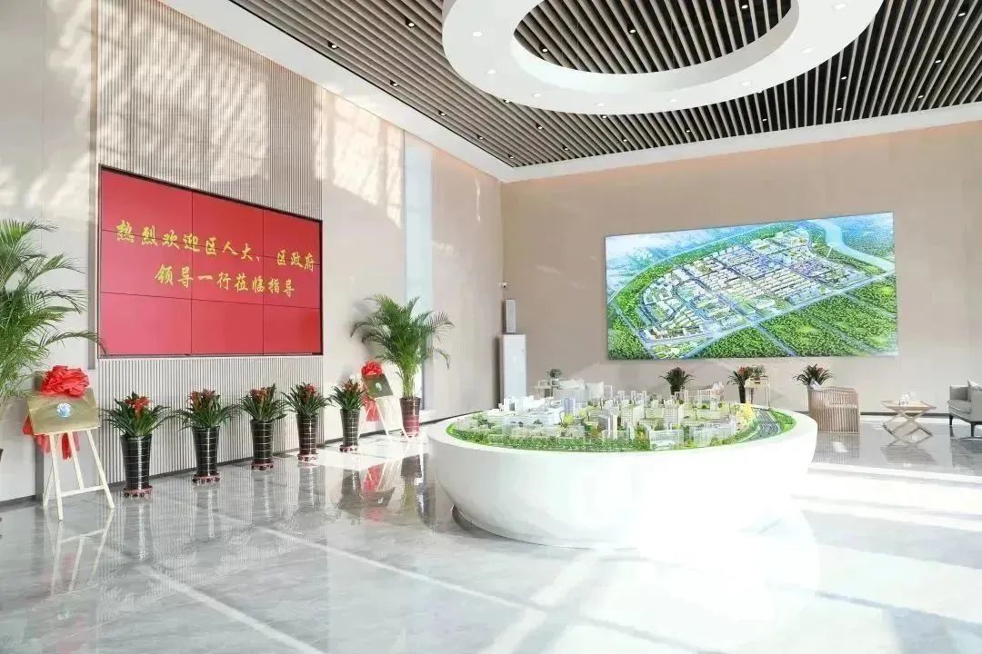 龍港區(qū)人大、區(qū)政府領(lǐng)導(dǎo)一行視察調(diào)研龍港國(guó)際醫(yī)療健康產(chǎn)業(yè)園(圖2)